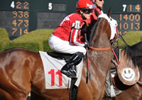 Bull-Dozer-Post-Parade-5x7