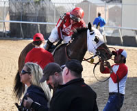 Bull-Dozer-Returning-from-Race-Mar-7