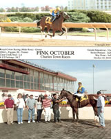Pink-October-Win-Photo-CT-101024